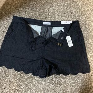 Loft shorts